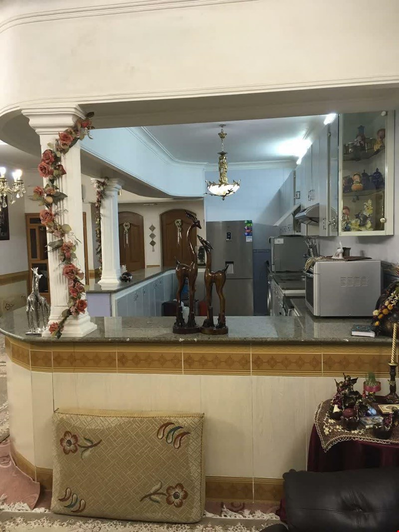 محمودی 