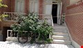 محمودی 