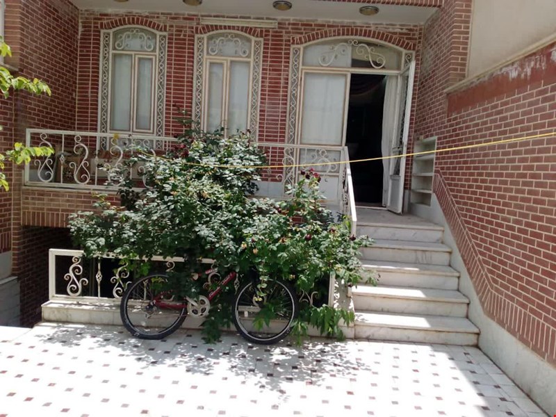 محمودی 
