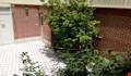 محمودی 