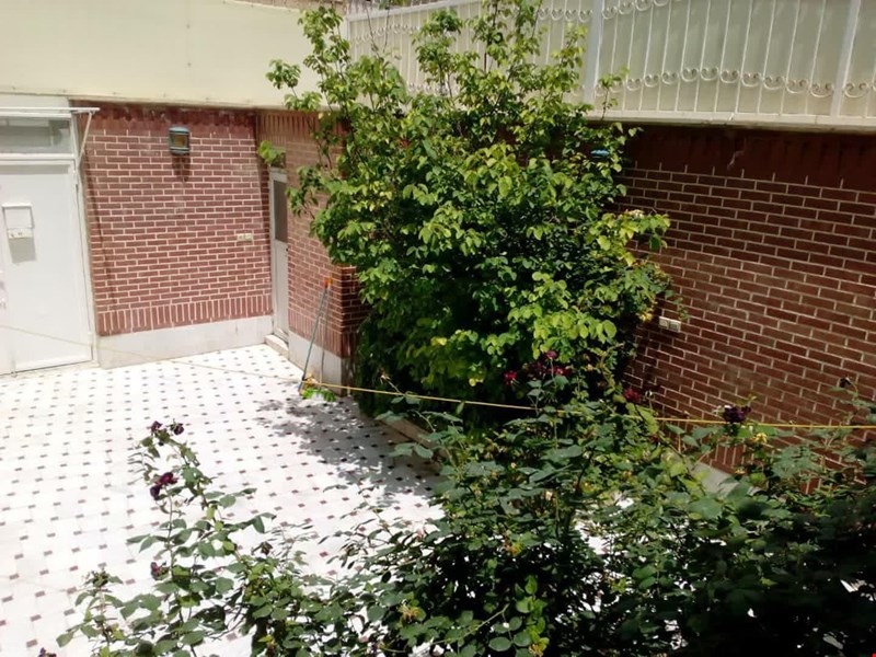 محمودی 